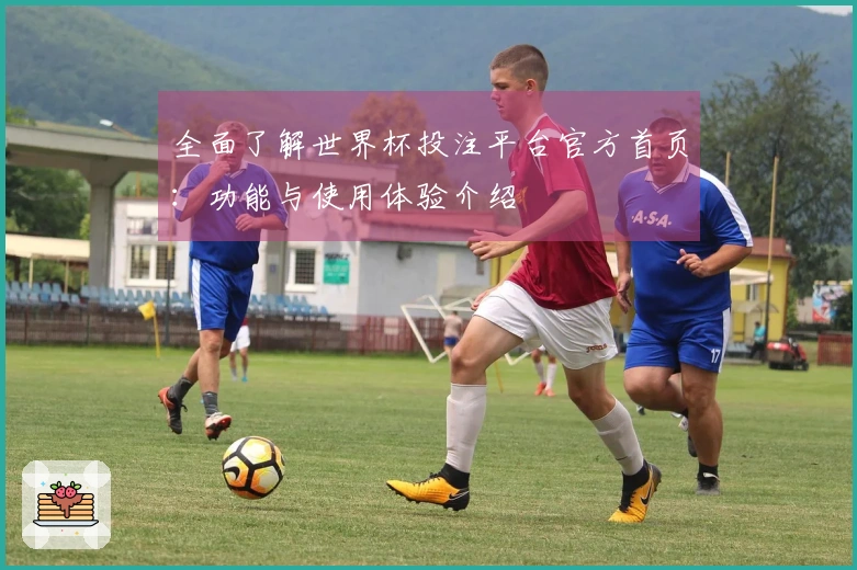 全面了解世界杯投注平台官方首页：功能与使用体验介绍