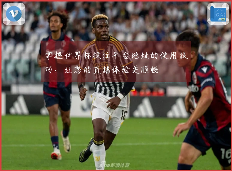 掌握世界杯投注平台地址的使用技巧，让您的直播体验更顺畅