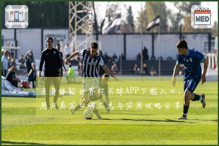 亲身体验世界杯买球APP下载入口，用户真实口碑汇总与实用攻略分享