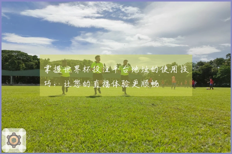 掌握世界杯投注平台地址的使用技巧，让您的直播体验更顺畅