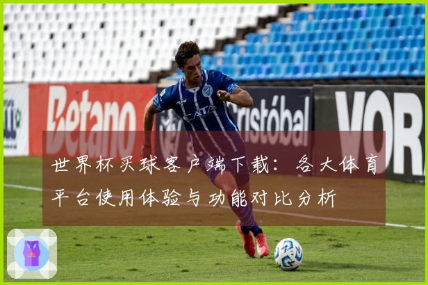 世界杯买球客户端下载：各大体育平台使用体验与功能对比分析
