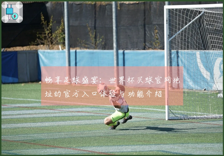 畅享足球盛宴：世界杯买球官网地址的官方入口体验与功能介绍