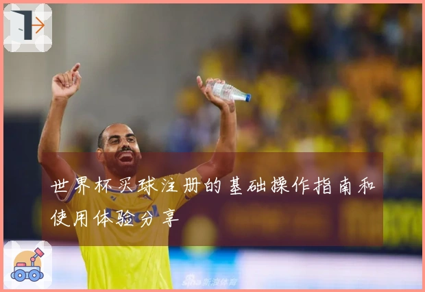 世界杯买球注册的基础操作指南和使用体验分享