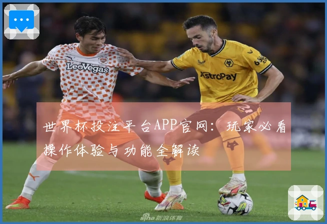 世界杯投注平台APP官网：玩家必看操作体验与功能全解读