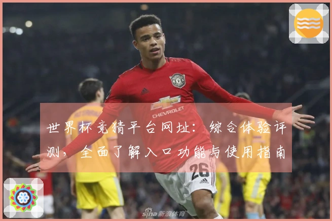 世界杯竞猜平台网址：综合体验评测，全面了解入口功能与使用指南