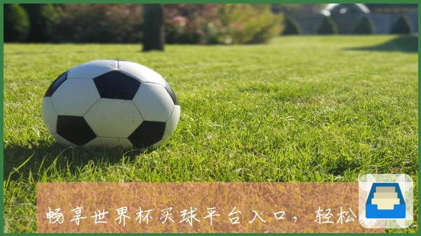 畅享世界杯买球平台入口，轻松获取实时赛事信息与精彩直播体验