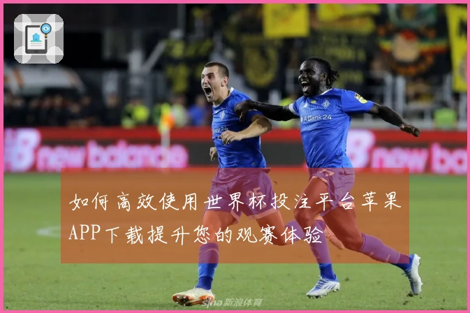 如何高效使用世界杯投注平台苹果APP下载提升您的观赛体验